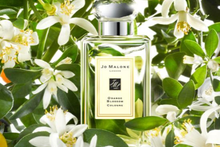 jo malone祖马龙美国官网购买有塑封吗?